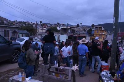 DSC_1498 (Large).JPG